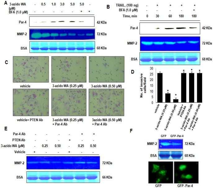 https://cdn.ncbi.nlm.nih.gov/pmc/blobs/83bc/3433490/48210884f78a/pone.0044039.g004.jpg