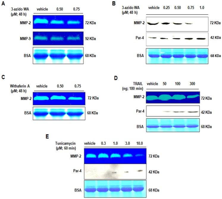 https://cdn.ncbi.nlm.nih.gov/pmc/blobs/83bc/3433490/d82150ded366/pone.0044039.g003.jpg