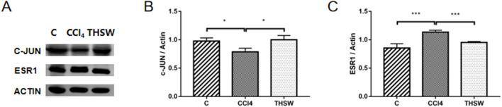 https://cdn.ncbi.nlm.nih.gov/pmc/blobs/83be/12256948/039869218dab/fmolb-12-1614341-g011.jpg