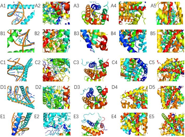 https://cdn.ncbi.nlm.nih.gov/pmc/blobs/83be/12256948/bc481331785b/fmolb-12-1614341-g009.jpg