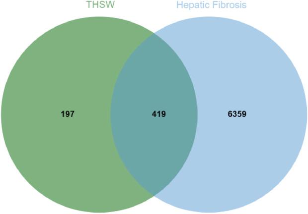 https://cdn.ncbi.nlm.nih.gov/pmc/blobs/83be/12256948/f022cc312abe/fmolb-12-1614341-g003.jpg