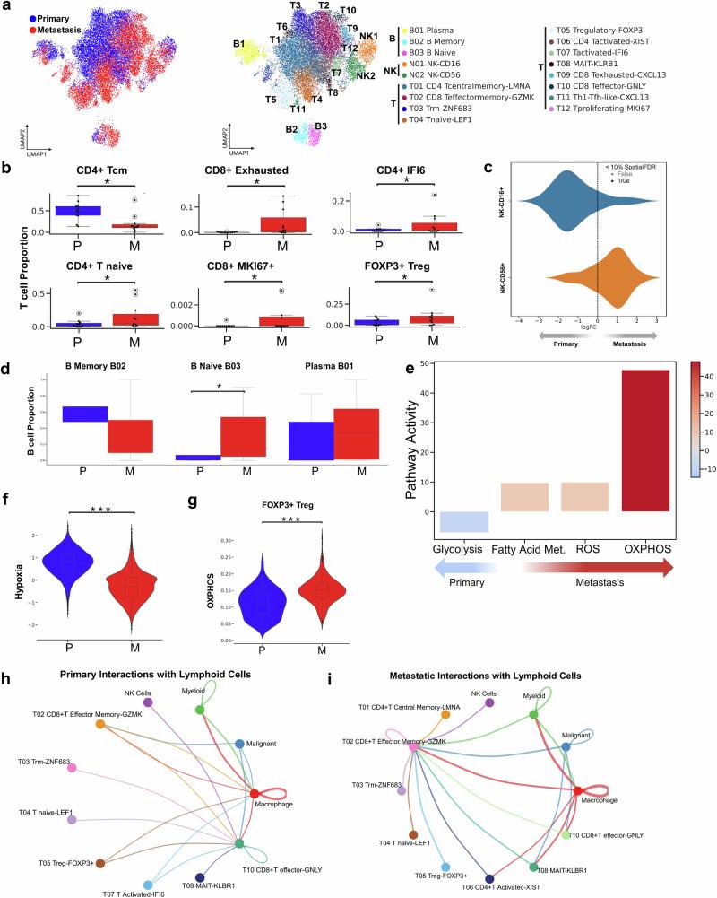 https://cdn.ncbi.nlm.nih.gov/pmc/blobs/83c2/12381257/08630dc2b844/41523_2025_808_Fig4_HTML.jpg