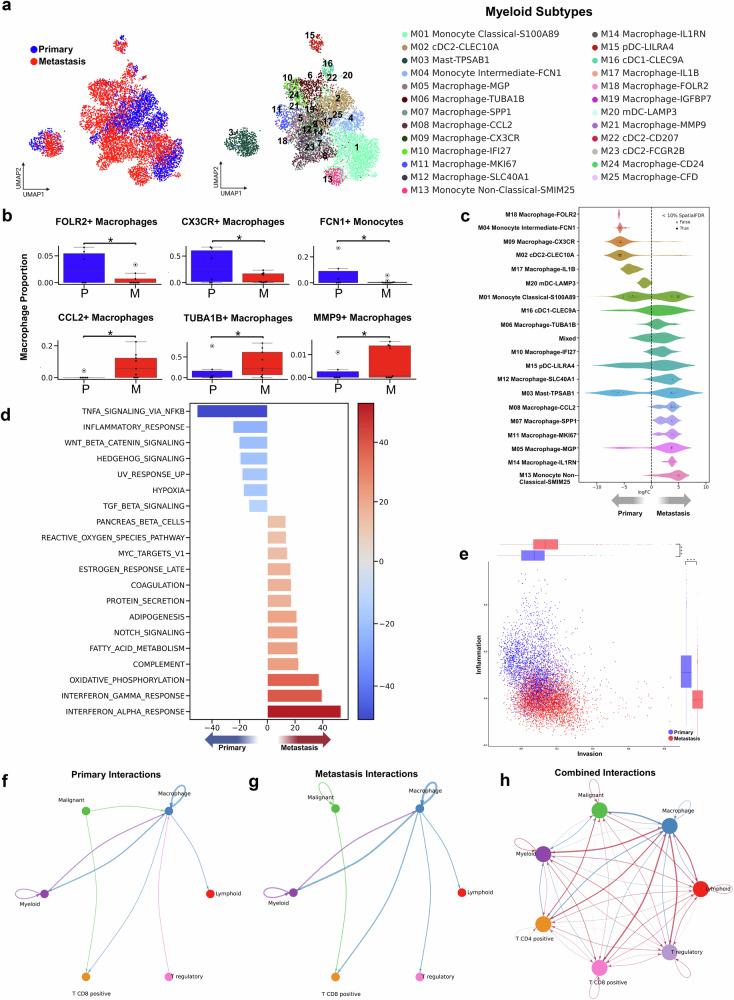 https://cdn.ncbi.nlm.nih.gov/pmc/blobs/83c2/12381257/650dfe168ae3/41523_2025_808_Fig3_HTML.jpg