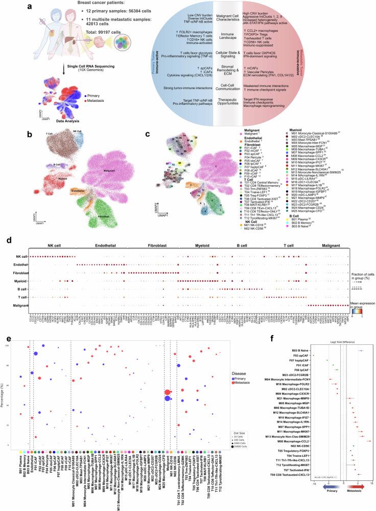 https://cdn.ncbi.nlm.nih.gov/pmc/blobs/83c2/12381257/9fd007050b66/41523_2025_808_Fig1_HTML.jpg