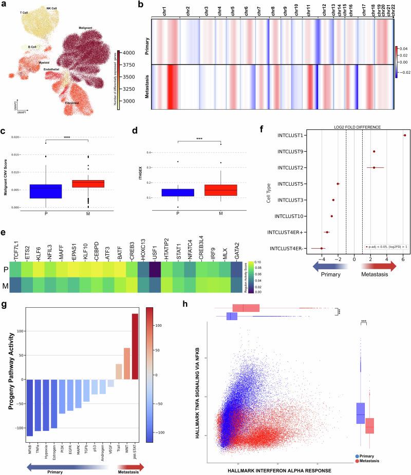 https://cdn.ncbi.nlm.nih.gov/pmc/blobs/83c2/12381257/e49cd95690be/41523_2025_808_Fig2_HTML.jpg