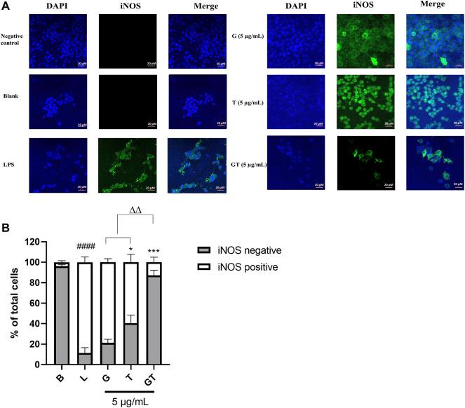 https://cdn.ncbi.nlm.nih.gov/pmc/blobs/83c3/9160922/0778de31d67d/fphar-13-818166-g002.jpg