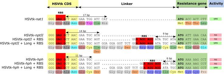 https://cdn.ncbi.nlm.nih.gov/pmc/blobs/83c4/6143793/f9fcbe02632a/fmicb-09-01954-g002.jpg