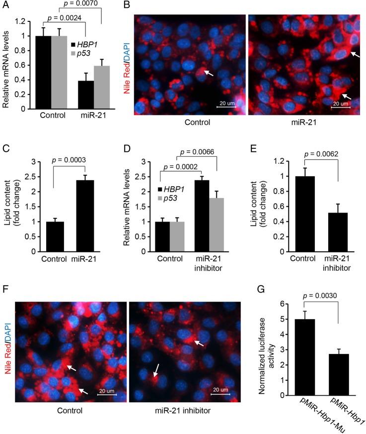 https://cdn.ncbi.nlm.nih.gov/pmc/blobs/83c5/5099218/dd60df598630/gutjnl-2014-308430f04.jpg