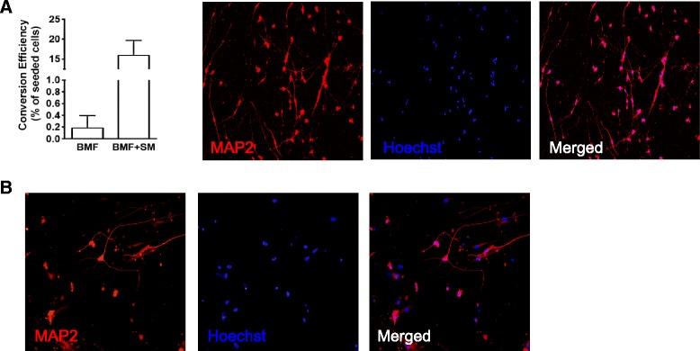 https://cdn.ncbi.nlm.nih.gov/pmc/blobs/83c5/5622454/a382c77e07b7/13287_2017_658_Fig2_HTML.jpg