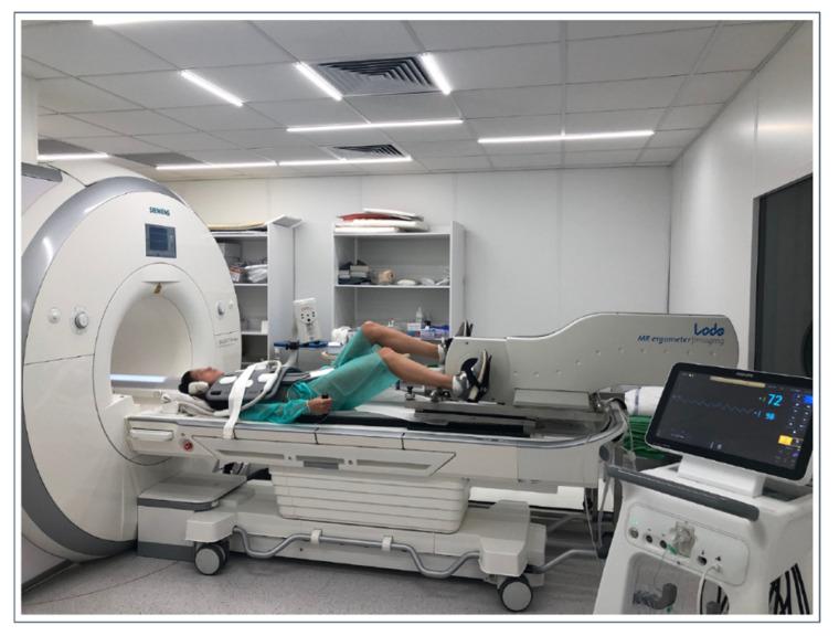 https://cdn.ncbi.nlm.nih.gov/pmc/blobs/83c7/9604894/c0353ddbdde7/jcdd-09-00361-g012.jpg