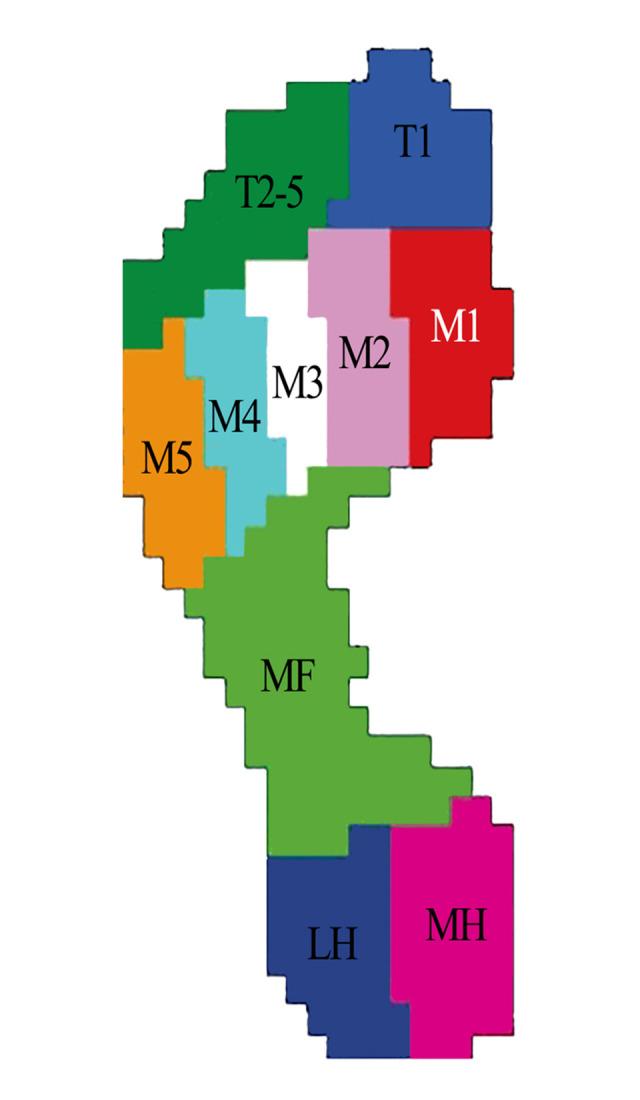 https://cdn.ncbi.nlm.nih.gov/pmc/blobs/83c8/9847197/71debfe74e0c/medscimonit-29-e938485-g003.jpg