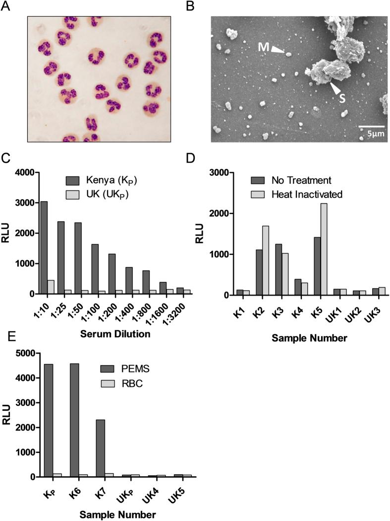 https://cdn.ncbi.nlm.nih.gov/pmc/blobs/83c9/4571651/326a7fa8e8d3/srep14081-f1.jpg