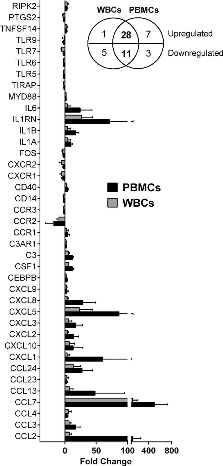 https://cdn.ncbi.nlm.nih.gov/pmc/blobs/83ca/8453012/00da9e0eab4a/fcimb-11-687607-g001.jpg