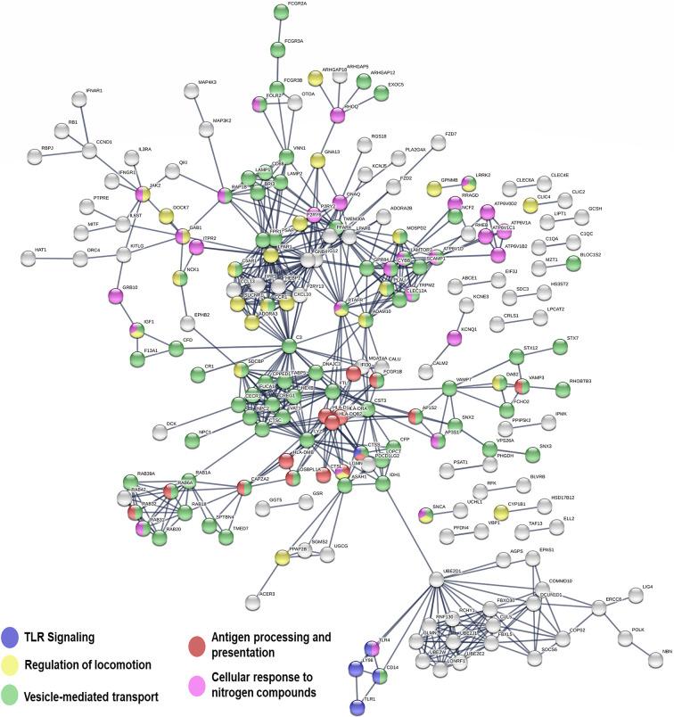 https://cdn.ncbi.nlm.nih.gov/pmc/blobs/83ca/8453012/514e3d0e9a2f/fcimb-11-687607-g005.jpg