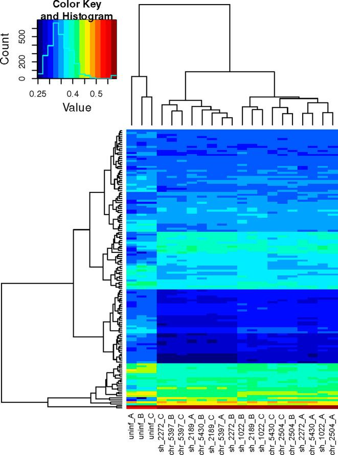 https://cdn.ncbi.nlm.nih.gov/pmc/blobs/83ca/8453012/c618b3b0d509/fcimb-11-687607-g003.jpg