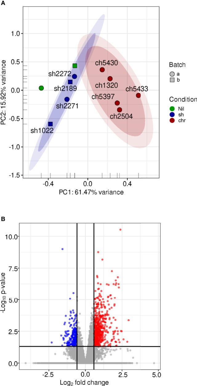 https://cdn.ncbi.nlm.nih.gov/pmc/blobs/83ca/8453012/e8a97af18270/fcimb-11-687607-g004.jpg