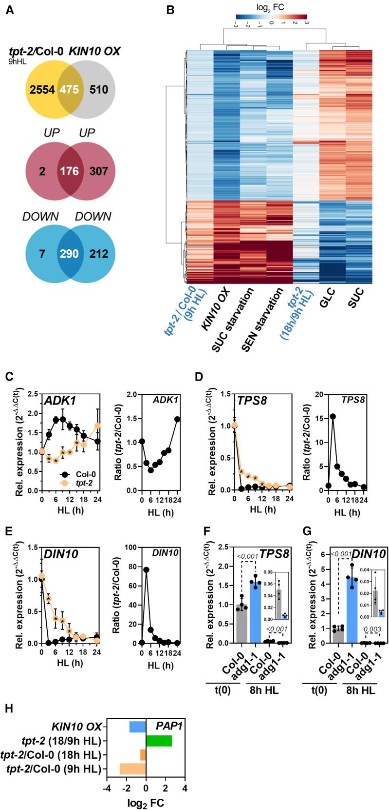 https://cdn.ncbi.nlm.nih.gov/pmc/blobs/83ca/9860169/90dd09da238b/gr5.jpg