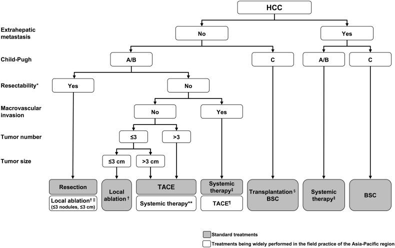 https://cdn.ncbi.nlm.nih.gov/pmc/blobs/83cb/5491694/6b4fade61b0e/12072_2017_9799_Fig2_HTML.jpg