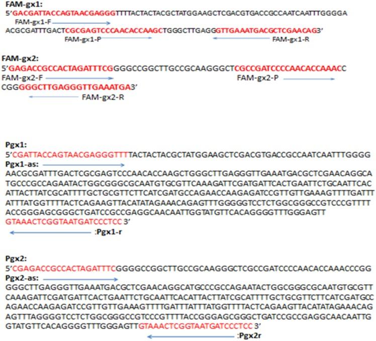 https://cdn.ncbi.nlm.nih.gov/pmc/blobs/83cd/4139266/2cd1f9008487/pone.0104195.g003.jpg