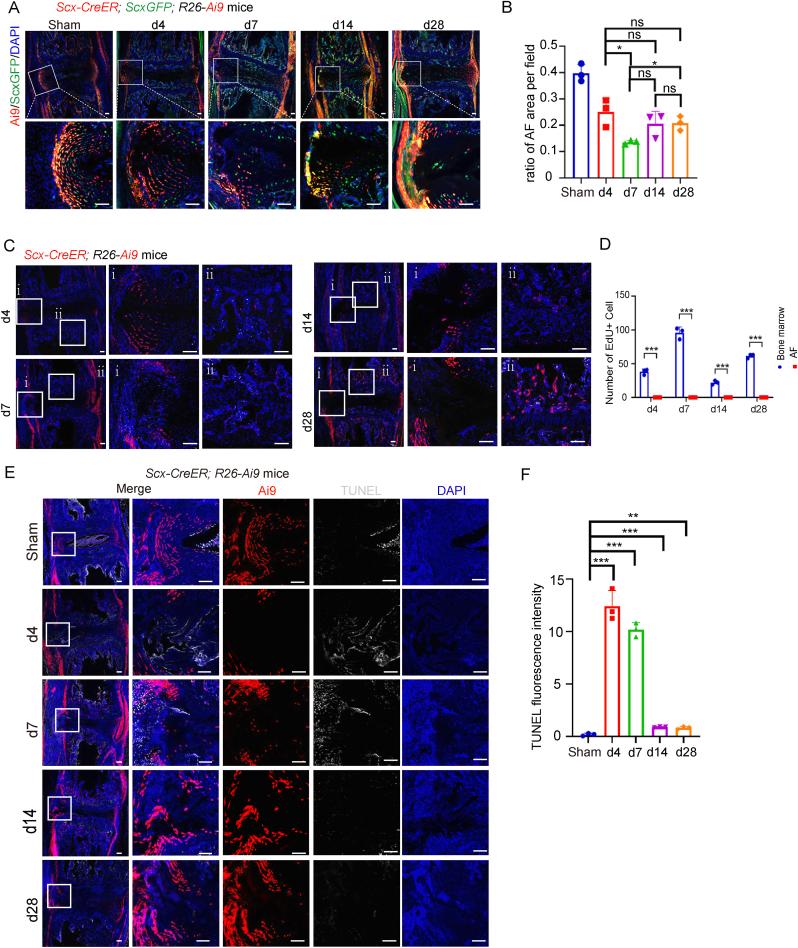https://cdn.ncbi.nlm.nih.gov/pmc/blobs/83ce/12104688/30d810475659/gr3.jpg