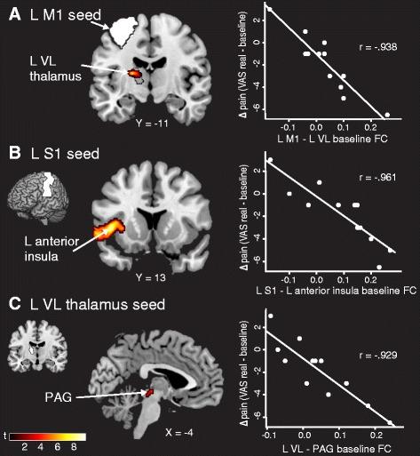 https://cdn.ncbi.nlm.nih.gov/pmc/blobs/83cf/4741001/a638b8815158/13075_2016_934_Fig1_HTML.jpg