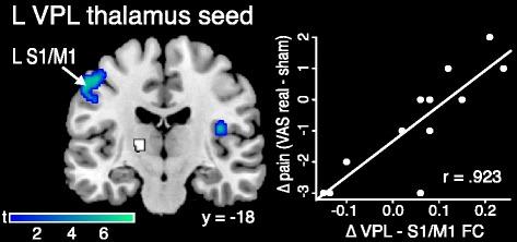 https://cdn.ncbi.nlm.nih.gov/pmc/blobs/83cf/4741001/ca53887102d1/13075_2016_934_Fig5_HTML.jpg