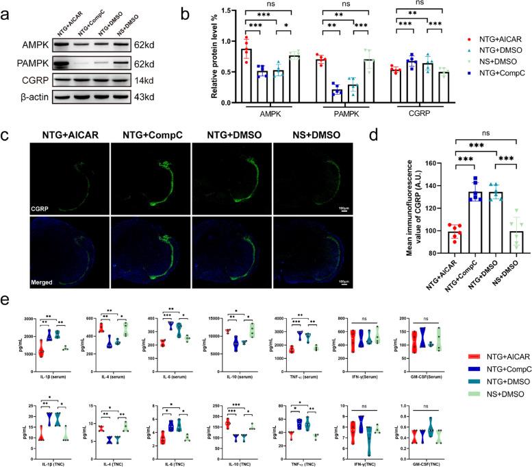 https://cdn.ncbi.nlm.nih.gov/pmc/blobs/83d2/10921743/c446e6b2ef00/10194_2024_1739_Fig6_HTML.jpg