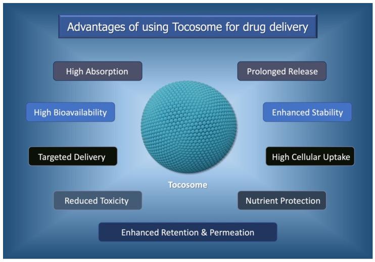 https://cdn.ncbi.nlm.nih.gov/pmc/blobs/83d2/11429494/48dabc9fcc88/biomedicines-12-02002-g001.jpg