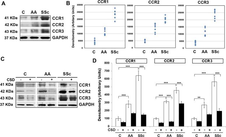 https://cdn.ncbi.nlm.nih.gov/pmc/blobs/83d2/4551709/29d3b280c3fe/13069_2015_28_Fig1_HTML.jpg