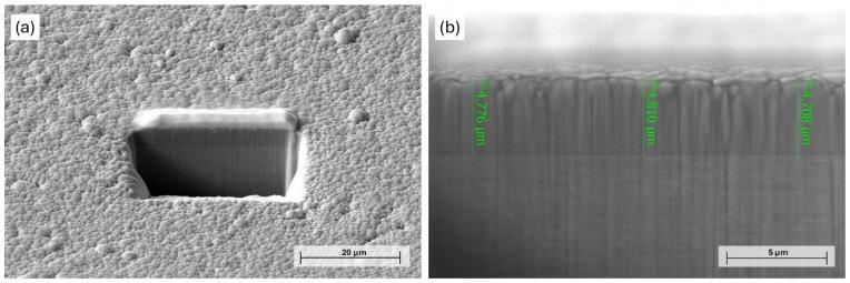https://cdn.ncbi.nlm.nih.gov/pmc/blobs/83d3/12348961/23a145ee0ad4/materials-18-03544-g001.jpg