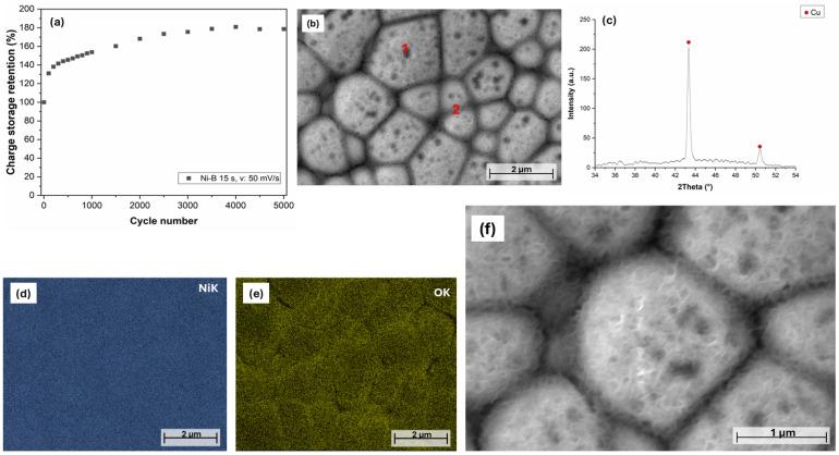 https://cdn.ncbi.nlm.nih.gov/pmc/blobs/83d3/12348961/fdcf628be602/materials-18-03544-g013.jpg