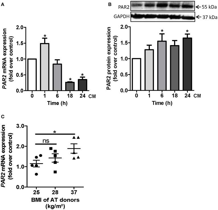 https://cdn.ncbi.nlm.nih.gov/pmc/blobs/83d3/5209375/ccefce439890/fphar-07-00497-g0002.jpg