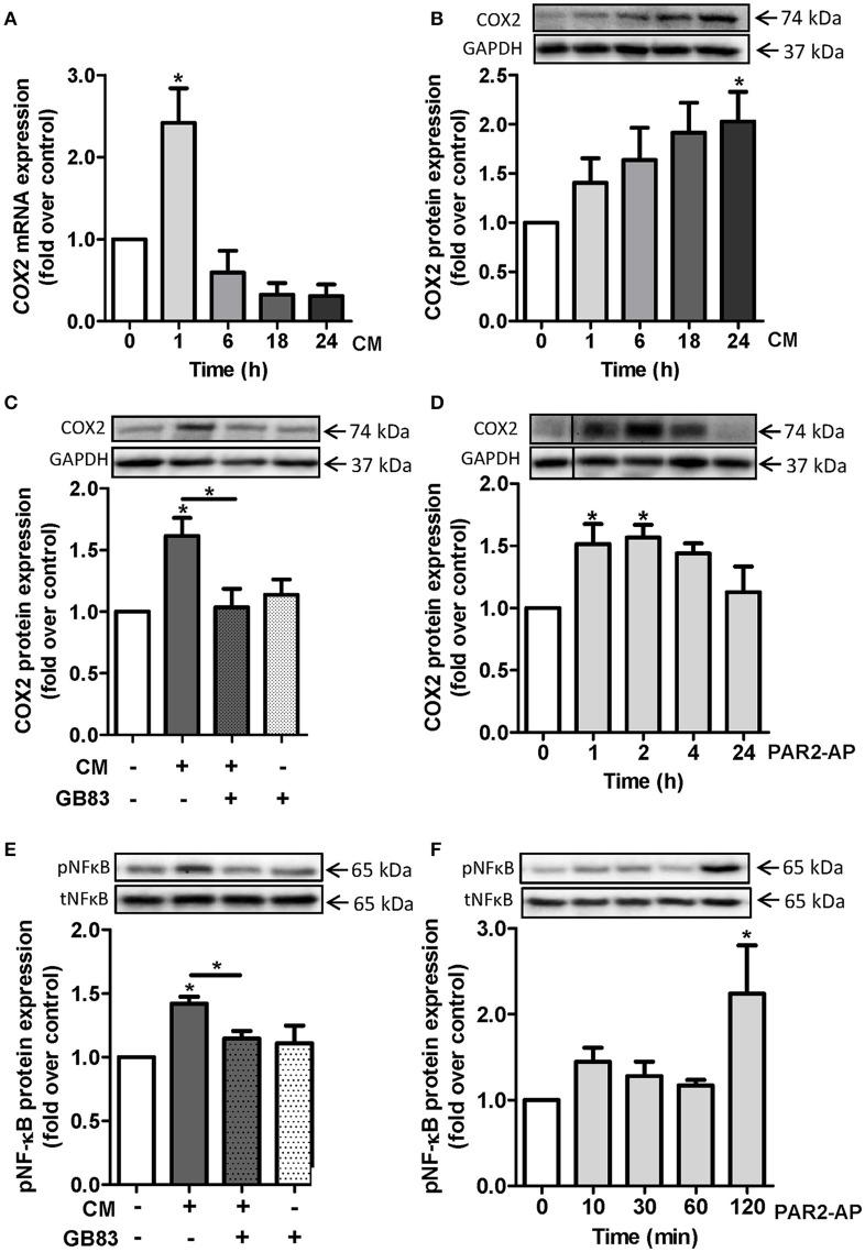 https://cdn.ncbi.nlm.nih.gov/pmc/blobs/83d3/5209375/e419ac5182cd/fphar-07-00497-g0004.jpg
