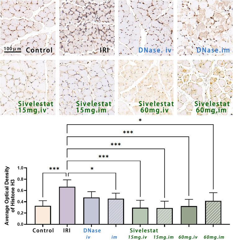 https://cdn.ncbi.nlm.nih.gov/pmc/blobs/83d4/9961174/f2912efea5e7/JIR-16-707-g0005.jpg