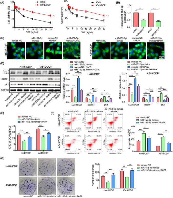 https://cdn.ncbi.nlm.nih.gov/pmc/blobs/83d6/10236622/03ef0d35294c/CAS-114-2650-g008.jpg