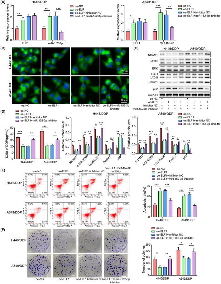https://cdn.ncbi.nlm.nih.gov/pmc/blobs/83d6/10236622/4f6b010e5df2/CAS-114-2650-g001.jpg