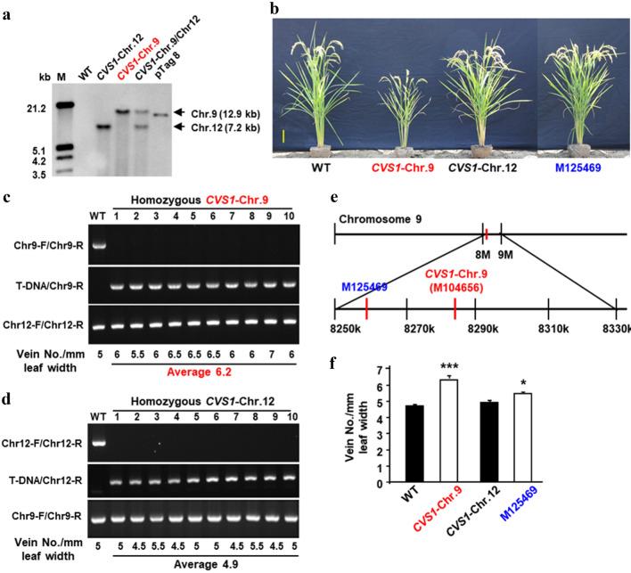 https://cdn.ncbi.nlm.nih.gov/pmc/blobs/83d6/8850240/72d0ef23700d/299_2021_2810_Fig5_HTML.jpg
