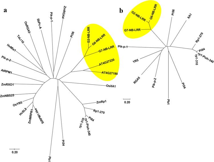 https://cdn.ncbi.nlm.nih.gov/pmc/blobs/83d6/8850240/ba6e0e3d37b7/299_2021_2810_Fig9_HTML.jpg