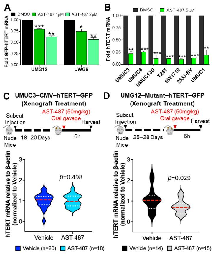 https://cdn.ncbi.nlm.nih.gov/pmc/blobs/83d7/9501578/180661eddb21/ijms-23-10819-g004.jpg