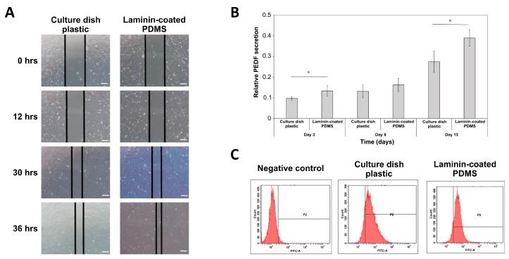 https://cdn.ncbi.nlm.nih.gov/pmc/blobs/83da/6358770/87f2482182e9/ijms-20-00241-g004.jpg