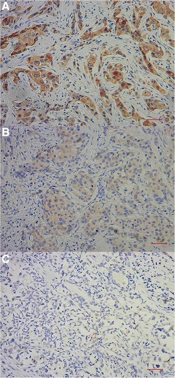 https://cdn.ncbi.nlm.nih.gov/pmc/blobs/83db/6151029/5c2fe96f14f6/12885_2018_4822_Fig1_HTML.jpg