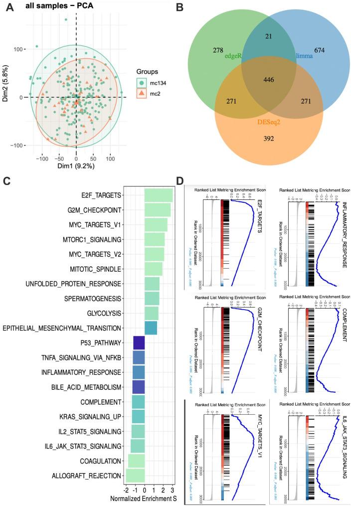 https://cdn.ncbi.nlm.nih.gov/pmc/blobs/83dc/10243005/326300bd247c/12885_2023_10905_Fig6_HTML.jpg