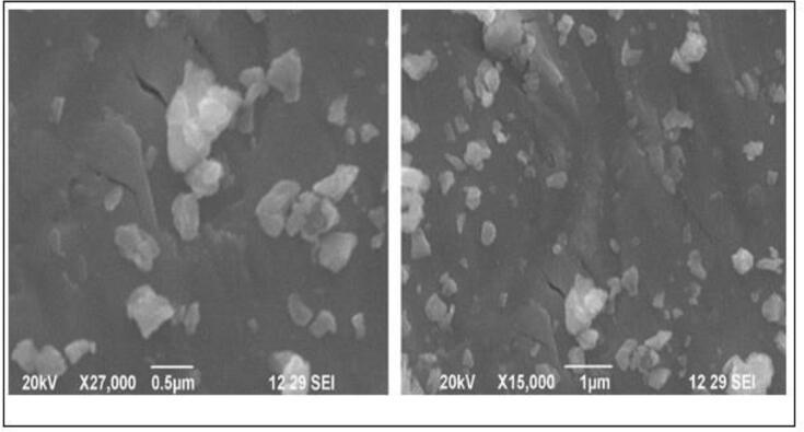 https://cdn.ncbi.nlm.nih.gov/pmc/blobs/83de/7938193/ea49458a5dd7/gr3.jpg