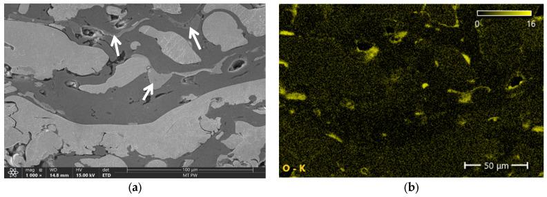 https://cdn.ncbi.nlm.nih.gov/pmc/blobs/83e4/11820642/aa68c4ed969b/materials-18-00646-g007a.jpg