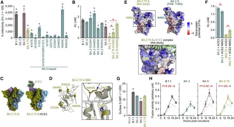 https://cdn.ncbi.nlm.nih.gov/pmc/blobs/83e5/9578327/4a16fd26ba2d/gr3_lrg.jpg
