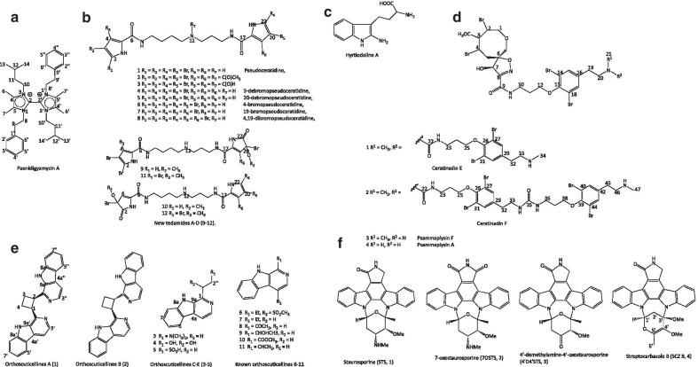 https://cdn.ncbi.nlm.nih.gov/pmc/blobs/83e6/7821695/61e65eb1b41a/40249_2021_796_Fig2_HTML.jpg