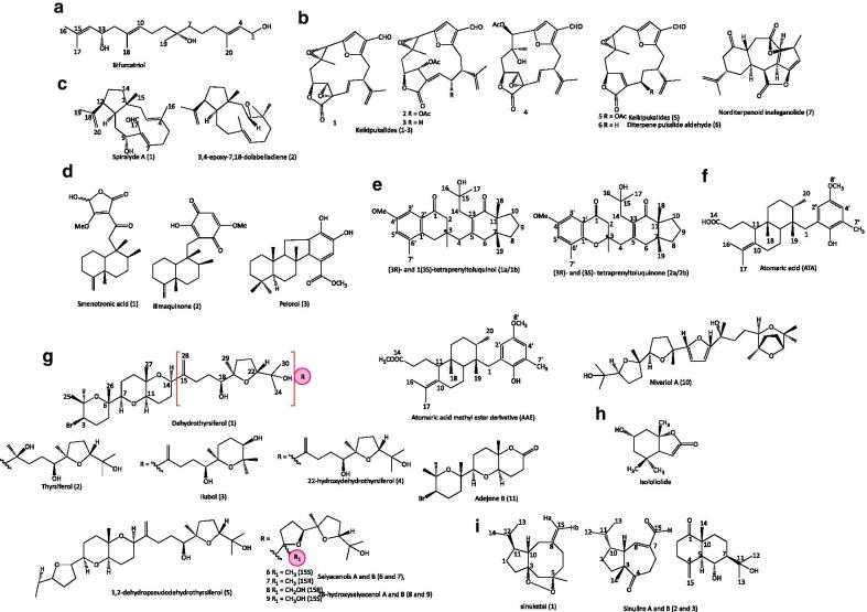 https://cdn.ncbi.nlm.nih.gov/pmc/blobs/83e6/7821695/78d3ced66900/40249_2021_796_Fig3_HTML.jpg