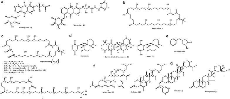 https://cdn.ncbi.nlm.nih.gov/pmc/blobs/83e6/7821695/d25629161f2b/40249_2021_796_Fig5_HTML.jpg