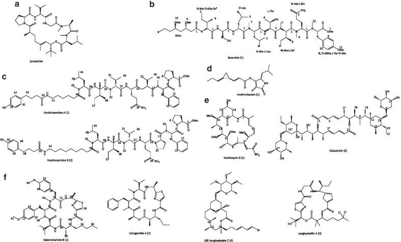 https://cdn.ncbi.nlm.nih.gov/pmc/blobs/83e6/7821695/ff90296dcce9/40249_2021_796_Fig4_HTML.jpg