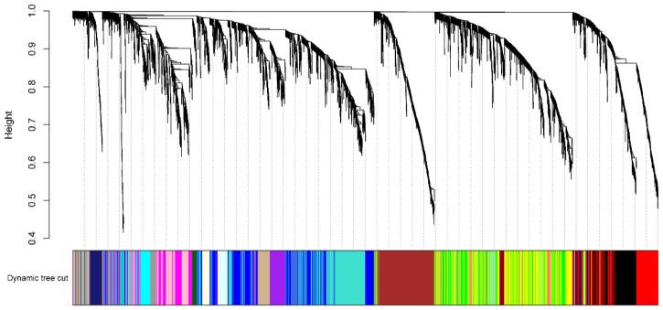 https://cdn.ncbi.nlm.nih.gov/pmc/blobs/83e8/10346679/43e24a5418f2/plants-12-02496-g004.jpg
